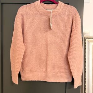 Everlane Soft Pink Crew Neck Sweater